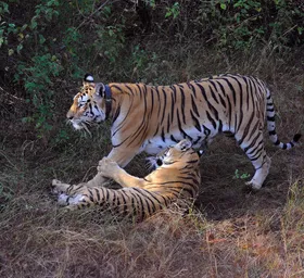 Coverpage Hwim 2022 Pe N6801 Anish Andheria