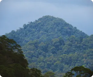 Image by wcsmalaysia@wcs.org  