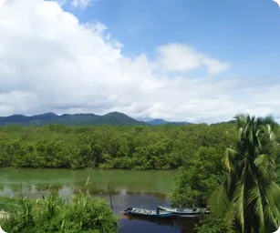 Image by damariles@wcs.org