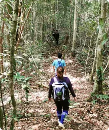 Image by wcsmalaysia@wcs.org