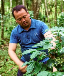 Image by bswanepoel@wcs.com