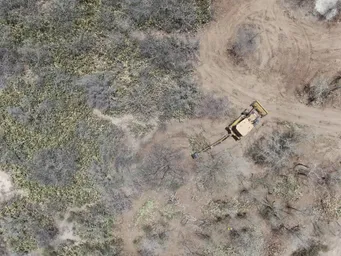 2022_RSFG_Dessouchage 2022 (11).JPG