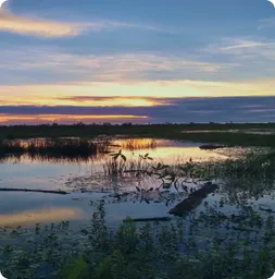 Image by Diego Amariles / WCS Colombia