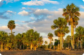 Image by nrossi@wcs.org