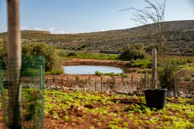Restoration Works Comino 1