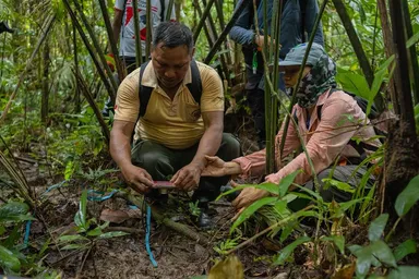 Monitoring Matse´s National Reserve