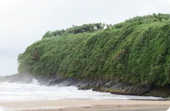 Image by fsantos@wcs.org