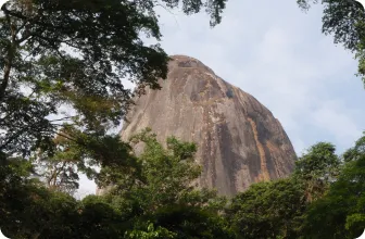 Image by WCS Nigeria