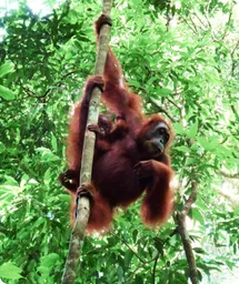 Image by Martin Gilbert