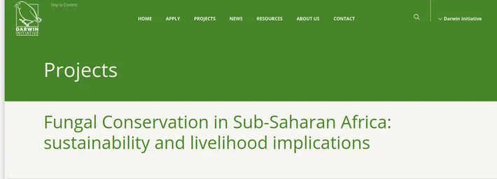 Subsaharan Africa_project.png