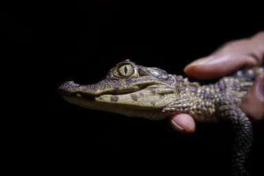 WhatsApp Image 2024-02-23 at 20.59.15.jpeg