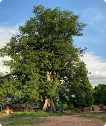 Image by Photo © Ana Yi/WCS.