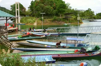 Image by wcsmalaysia@wcs.org