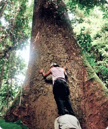 Image by mlubis@wcs.org