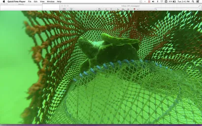 Screen Shot 2016-02-23 at 2.41.34 PM.png