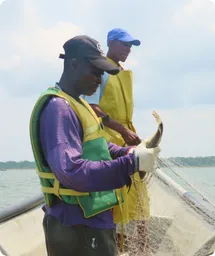 Image by damariles@wcs.org