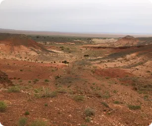 Image by bariunbaatar@wcs.org