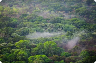 Image by aboveda@wcs.org