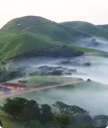 Image by WCS Nigeria