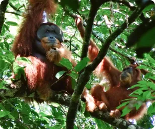 Image by Martin Gilbert