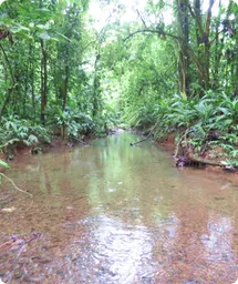 Image by fsantos@wcs.org