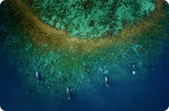 Image by Contact : starigan@wcs.org (Sukma)/ drahmawati@wcs.org (Ditta)/ rrimayanti@wcs.org (Ratih)