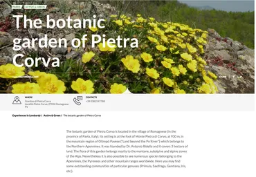 Screenshot 2024-10-30 at 12.32.03.png