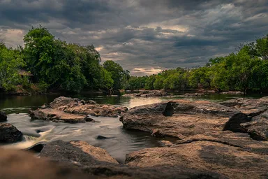 Nissa Special Reserve