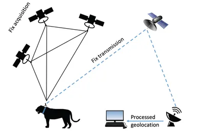 Satellite Telemetry Fixed Transmission Wct