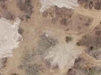 2022_RSFG_Dessouchage 2022 (9).JPG