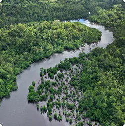 Image by bafsvensson@gmail.com