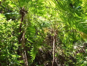 WhatsApp Image 2024-04-09 at 1.12.13 PM.jpeg