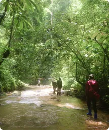 Image by dlety@wcs.org