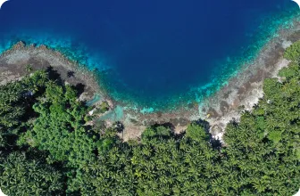 Image by bafsvensson@gmail.com