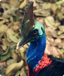 Image by lolamya@hotmail.com