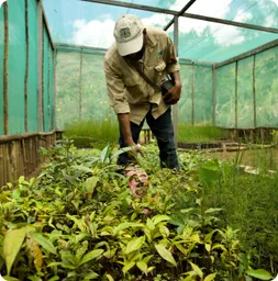 Image by lolamya@hotmail.com