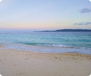 Image by  srusmiati@wcs.org (Susi)/ drahmawati@wcs.org (Ditta)/ sfadela@wcs.org (Sheyka)