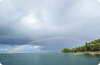 Image by  srusmiati@wcs.org (Susi)/ drahmawati@wcs.org (Ditta)/ sfadela@wcs.org (Sheyka)