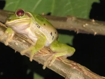 WhatsApp Image 2024-04-09 at 1.12.13 PM (1).jpeg