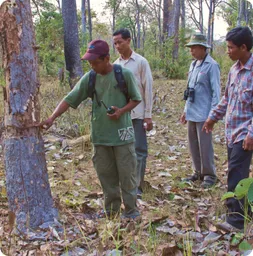 Image by Eleanor Briggs