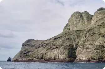 Image by damariles@wcs.org