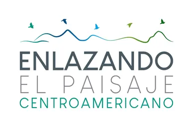 ENLANZADO_ISOLOGOTIPO_COLOR_1.jpg
