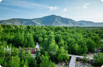 Image by Contact : starigan@wcs.org (Sukma)/ drahmawati@wcs.org (Ditta)/ rrimayanti@wcs.org (Ratih)