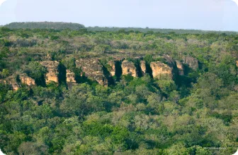Image by Photo © Antonio Bóveda/WCS.