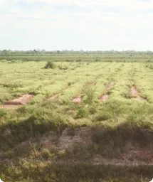 Image by wcsparaguay@wcs.org