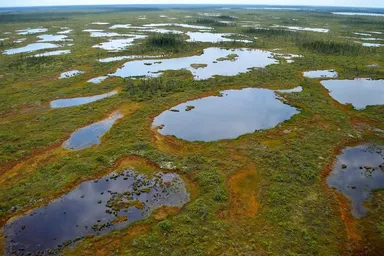 Peatlands, Hudson Bay Lowlands