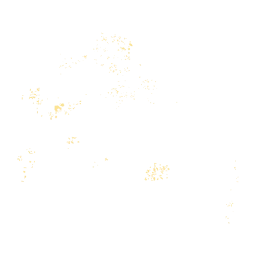 Fomento a la agricultura sostenible a través de prácticas agroecológicas con productores de granos básicos  en el Área de Conservación "Imposible - Barra de Santiago" mediante el establecimiento de Sistemas Agroforestales en los distritos de San Francisco Menéndez, Jujútla y Tacuba en el departamento de Ahuachapán