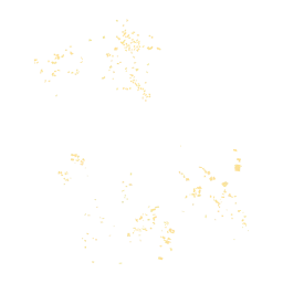 Rehabilitación y mantenimiento del parque cafetalero en el Área de Conservación “Imposible – Barra de Santiago” con enfoque de resiliencia al cambio climático y como un sistema productivo diversificado con sistemas agroforestales en los distritos de Tacuba y San Francisco Menéndez del departamento de Ahuachapán
