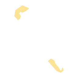 Hawksbill sea turtle monitoring and conservation