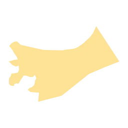 Celebración APyC LAC - LA RUTA ECOSOSTENIBLE: PLOGGING RECREATIVO EN EL ACP ILLISH PISHACOTO